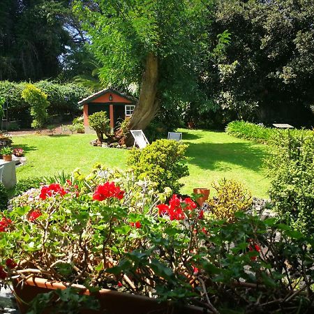 Jardines De Hortensia - Vacation Home Tenerife La Laguna  Dış mekan fotoğraf