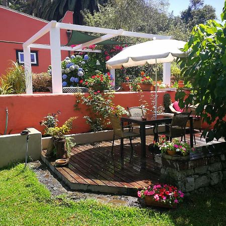 Jardines De Hortensia - Vacation Home Tenerife La Laguna  Dış mekan fotoğraf
