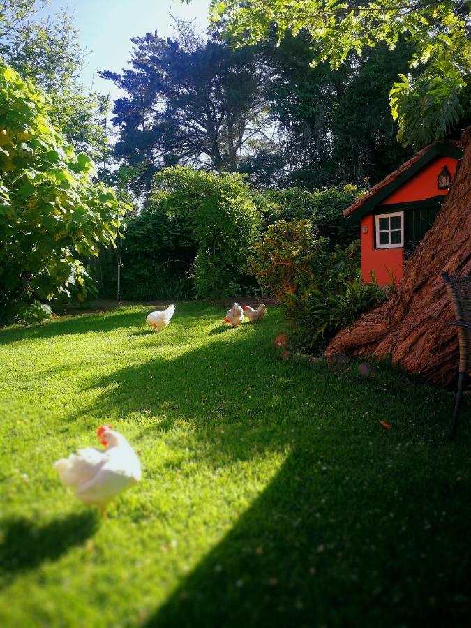 Jardines De Hortensia - Vacation Home Tenerife La Laguna  Dış mekan fotoğraf