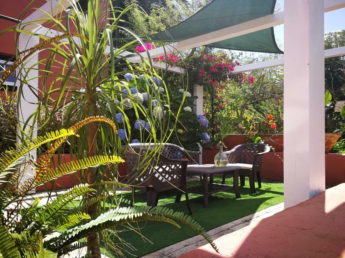 Jardines De Hortensia - Vacation Home Tenerife La Laguna  Dış mekan fotoğraf