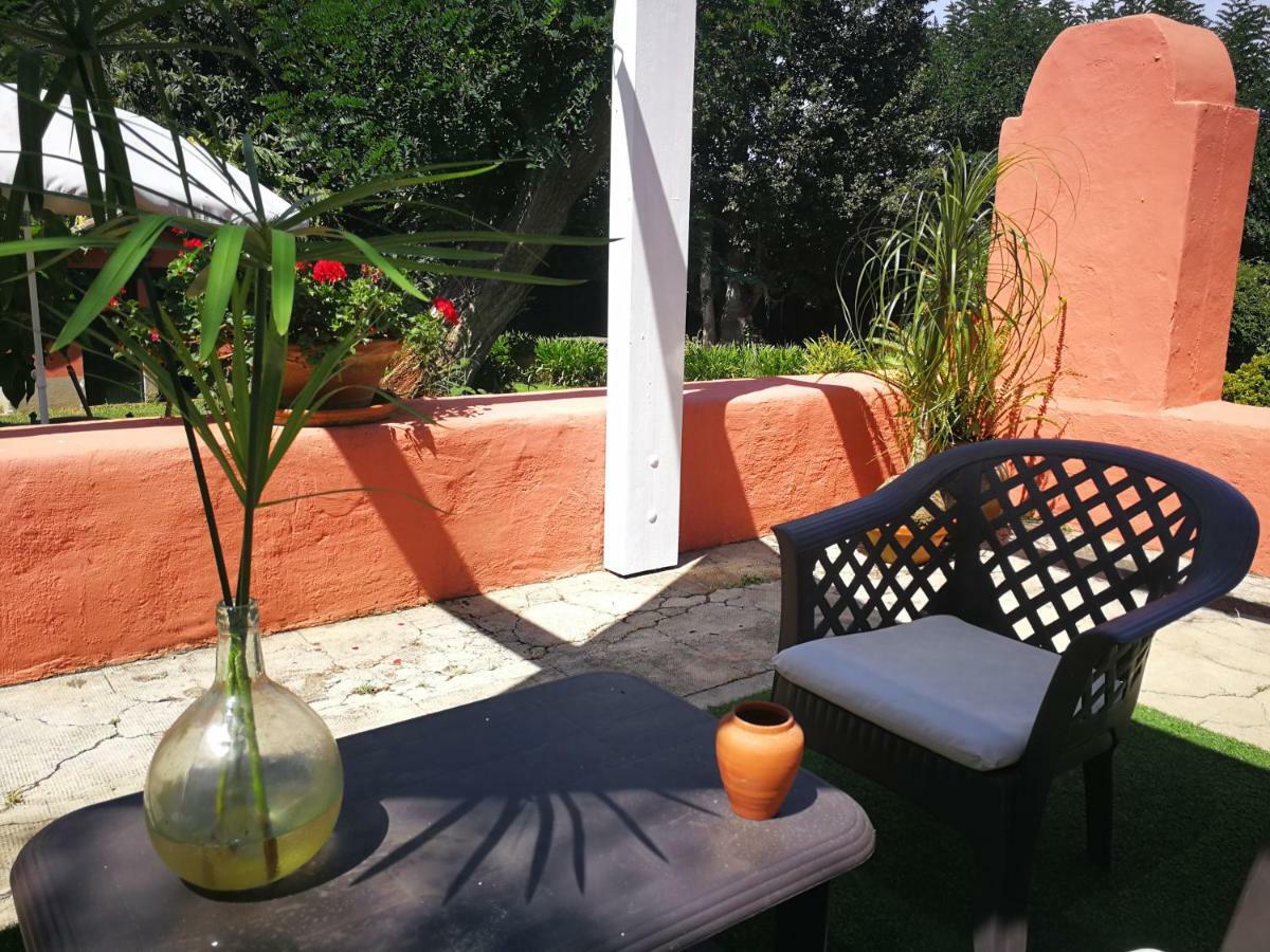 Jardines De Hortensia - Vacation Home Tenerife La Laguna  Dış mekan fotoğraf
