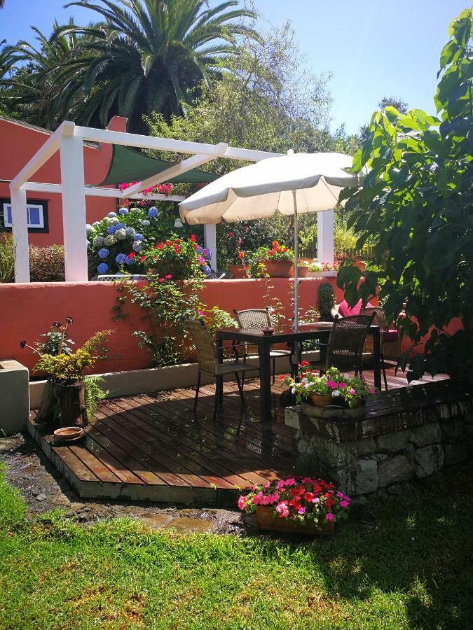 Jardines De Hortensia - Vacation Home Tenerife La Laguna  Dış mekan fotoğraf