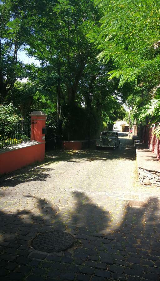 Jardines De Hortensia - Vacation Home Tenerife La Laguna  Dış mekan fotoğraf